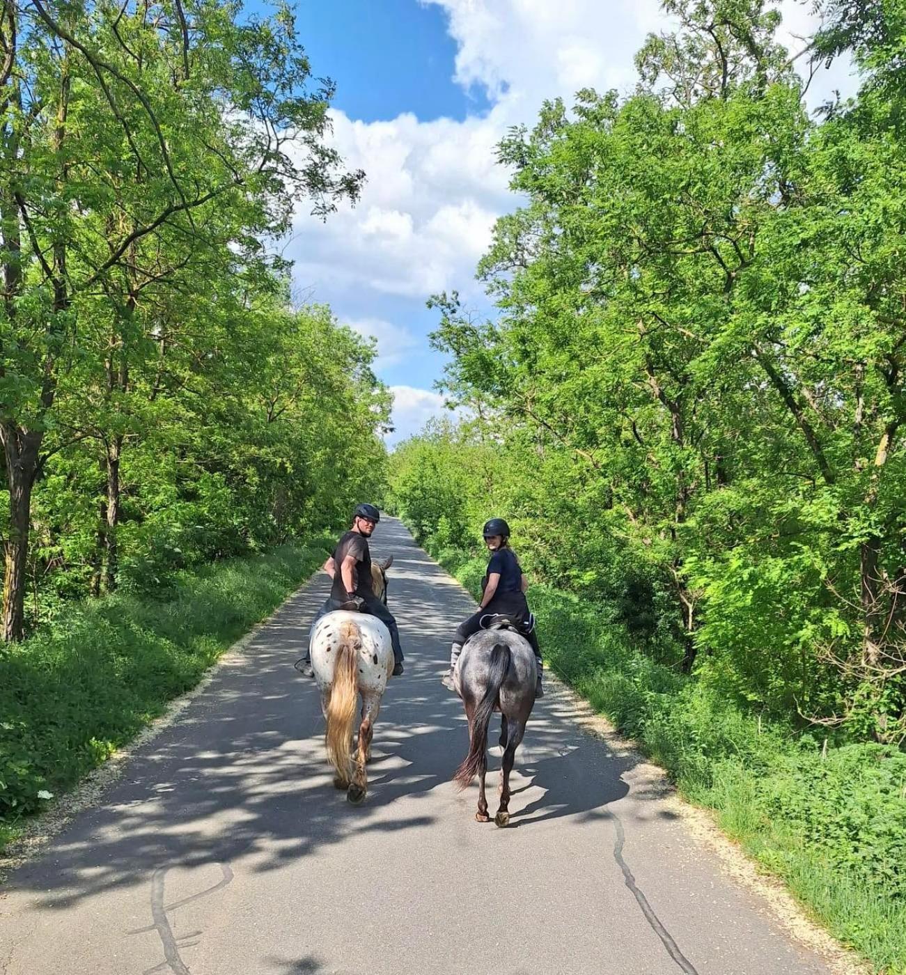 Penzion Horse Farm Lechovice Extérieur photo